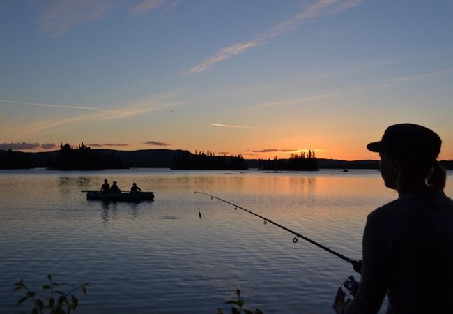 Ferienhaus in Föllinge - Urlaub auf einer Huskyfarm in der Wildnis von Jämtland Ferienhaus in Föllinge - Urlaub auf einer Huskyfarm in der Wildnis von Jämtland