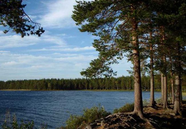 Ferienwohnung in Umeå - Ferienwohnung mit drei Schlafzimmern auf dem Lande