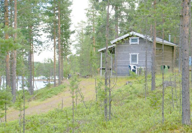 Ferienhaus in Arvidsjaur - Urlaub im Blaubeerwald am See mit Boot