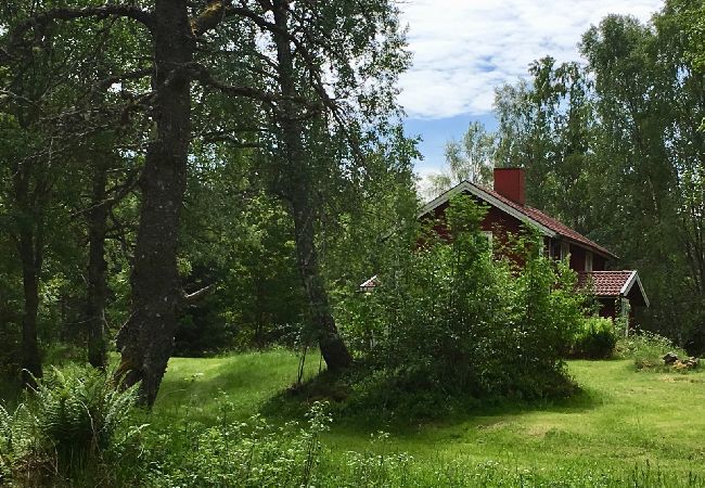 Ferienhaus in Sävsjöström - Urlaub in Alleinlage mitten im Wald mit Sauna und Kanu