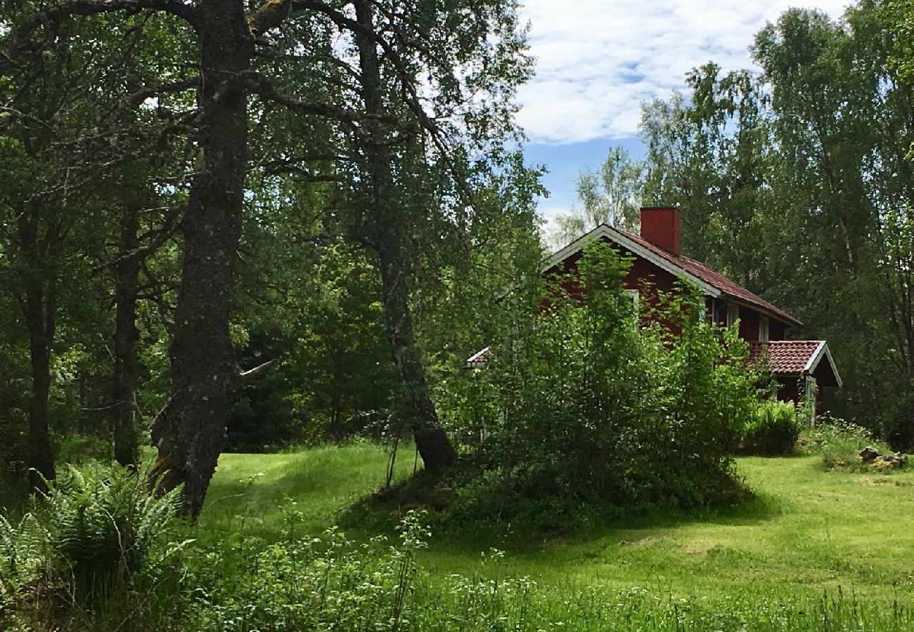 Ferienhaus in Sävsjöström - Urlaub in Alleinlage mitten im Wald mit Sauna und Kanu