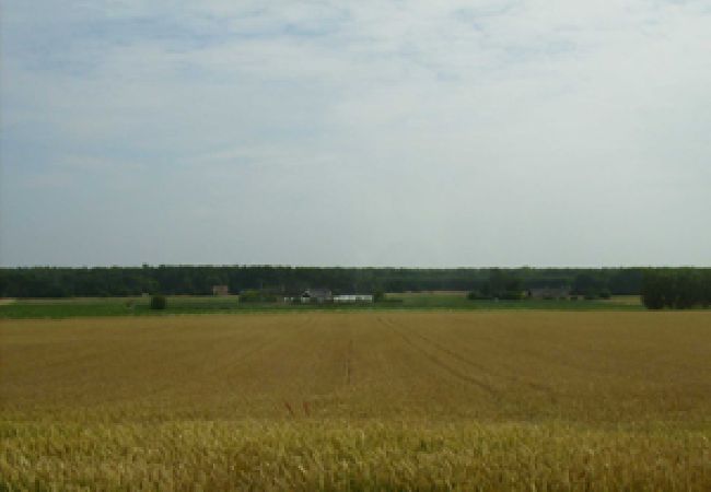 Ferienwohnung in Löderup - Ferien auf einem Gut bei Ystad