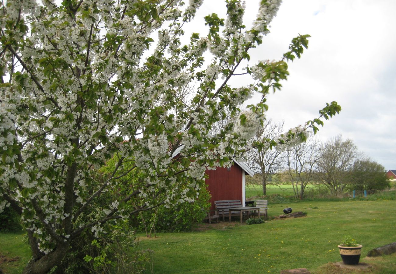 Ferienhaus in Borgholm - Öland zwischen Windmühle und Naturreservat