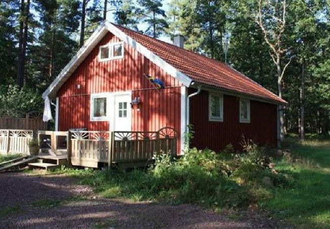 Ferienhaus in Oskarshamn - Ferienhausurlaub wo die Elche zu Hause sind