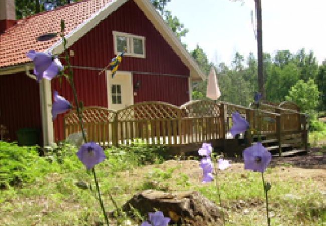 Ferienhaus in Oskarshamn - Ferienhausurlaub wo die Elche zu Hause sind