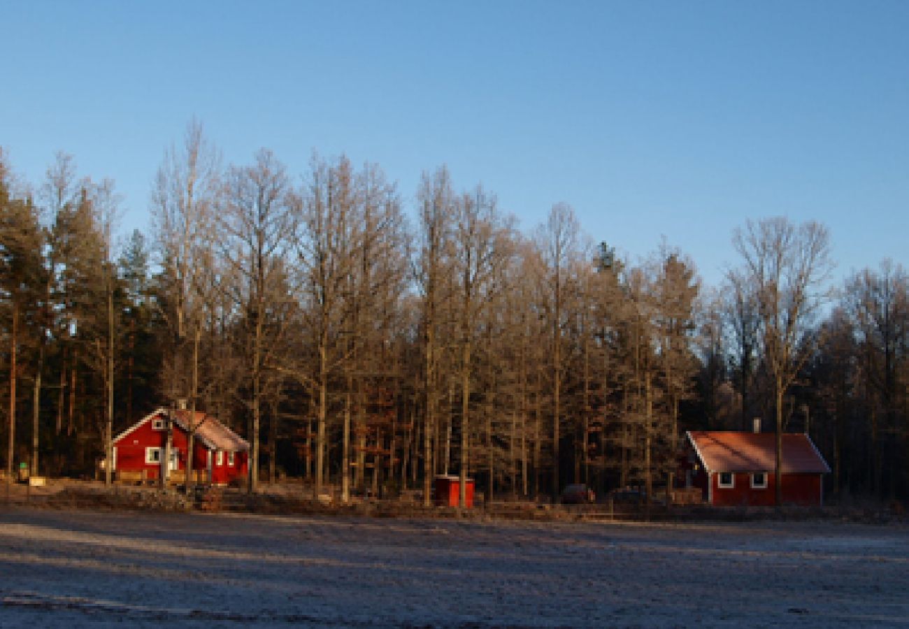 Ferienhaus in Oskarshamn - Ferienhausurlaub wo die Elche zu Hause sind