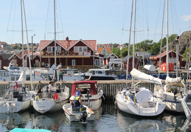 Ferienwohnung in Dyrön - Havsutsikt Dyrön Ferienwohnung in Dyrön - Havsutsikt Dyrön