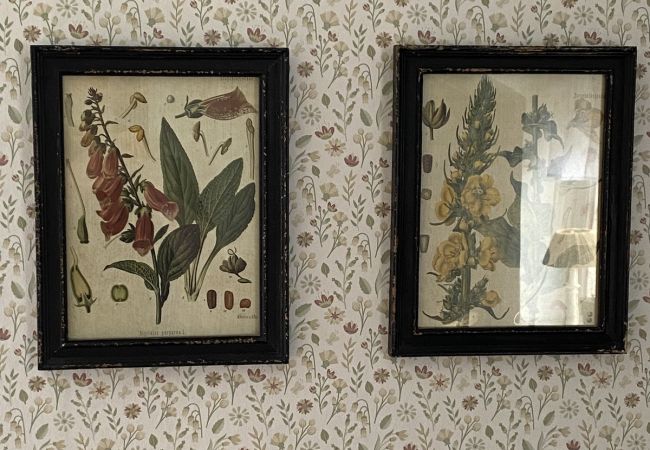 Ferienhaus in Mörrum - Urlaub zwischen Lachsfluss und der Ostseeküste von Blekinge Ferienhaus in Mörrum - Urlaub zwischen Lachsfluss und der Ostseeküste von Blekinge