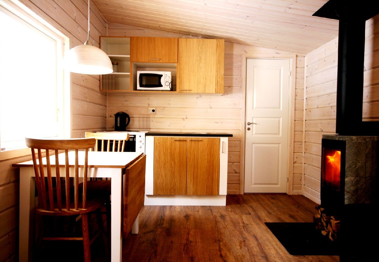 Ferienhaus in Kiruna - Torne river suite