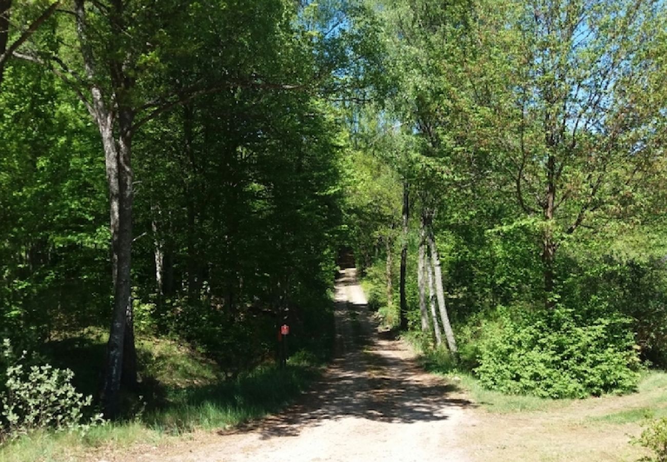 Ferienhaus in Tving - Naturparadies an einem kleinen See in Südschweden
