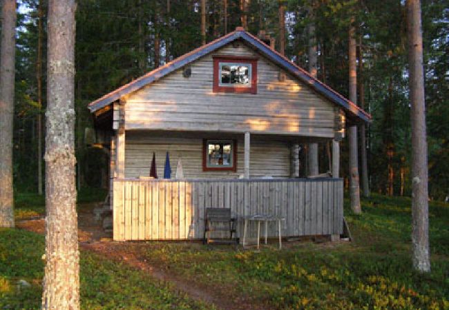 Ferienhaus in Furudal - Flugnäs udde