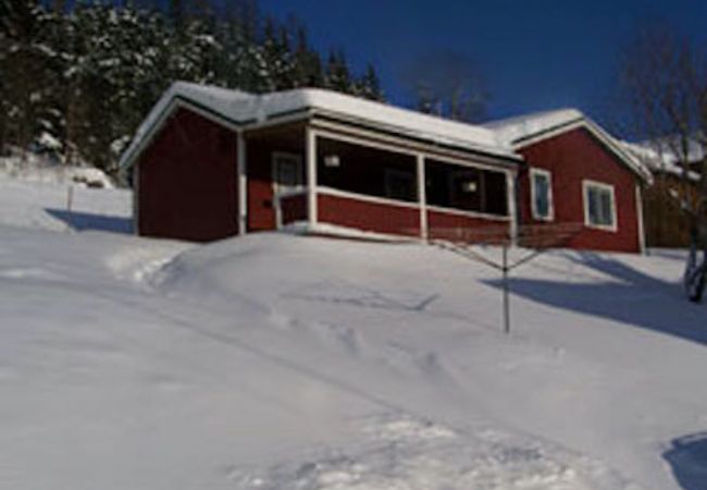 Ferienhaus in Valsjöbyn - Bezaubernder Panoramablick auf See und Berge