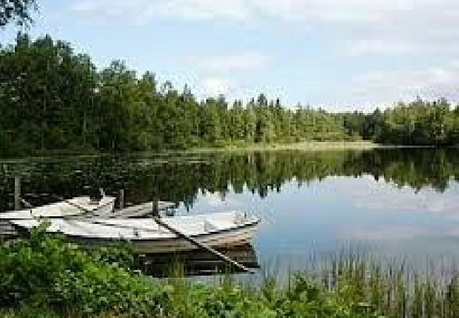 Ferienhaus in Ydre - Urlaub in einsamer Lage in Südschweden