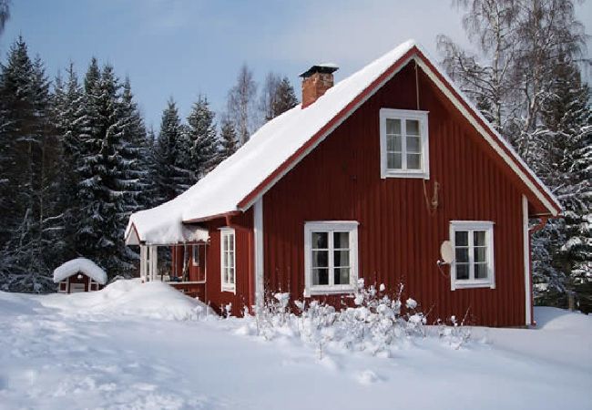 Ferienhaus in Hagfors - Urlaub mitten im Wald in Mittelschweden