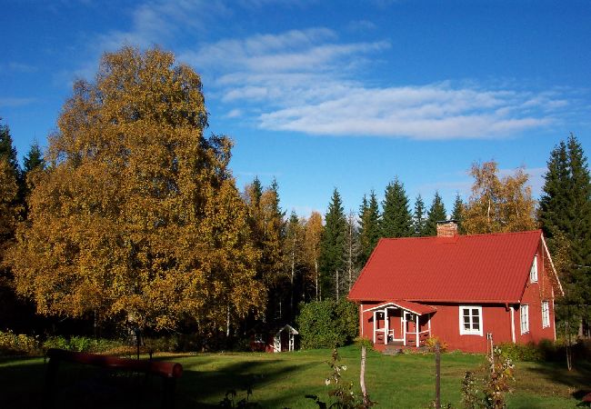 Ferienhaus in Hagfors - Urlaub mitten im Wald in Mittelschweden