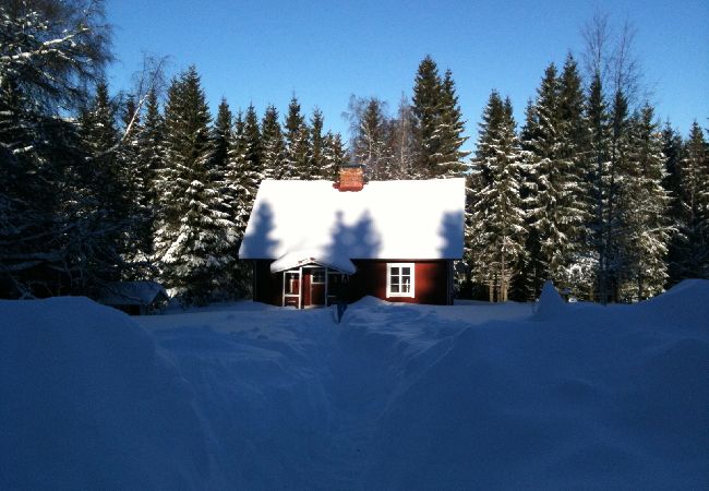 Ferienhaus in Hagfors - Urlaub mitten im Wald in Mittelschweden