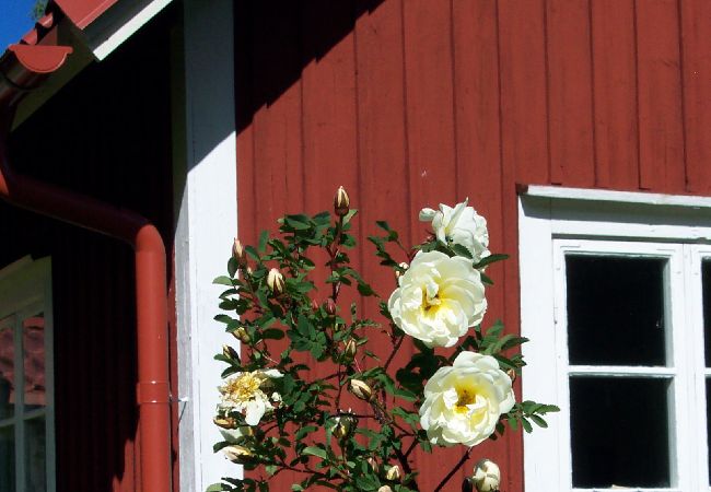 Ferienhaus in Hagfors - Urlaub mitten im Wald in Mittelschweden Ferienhaus in Hagfors - Urlaub mitten im Wald in Mittelschweden