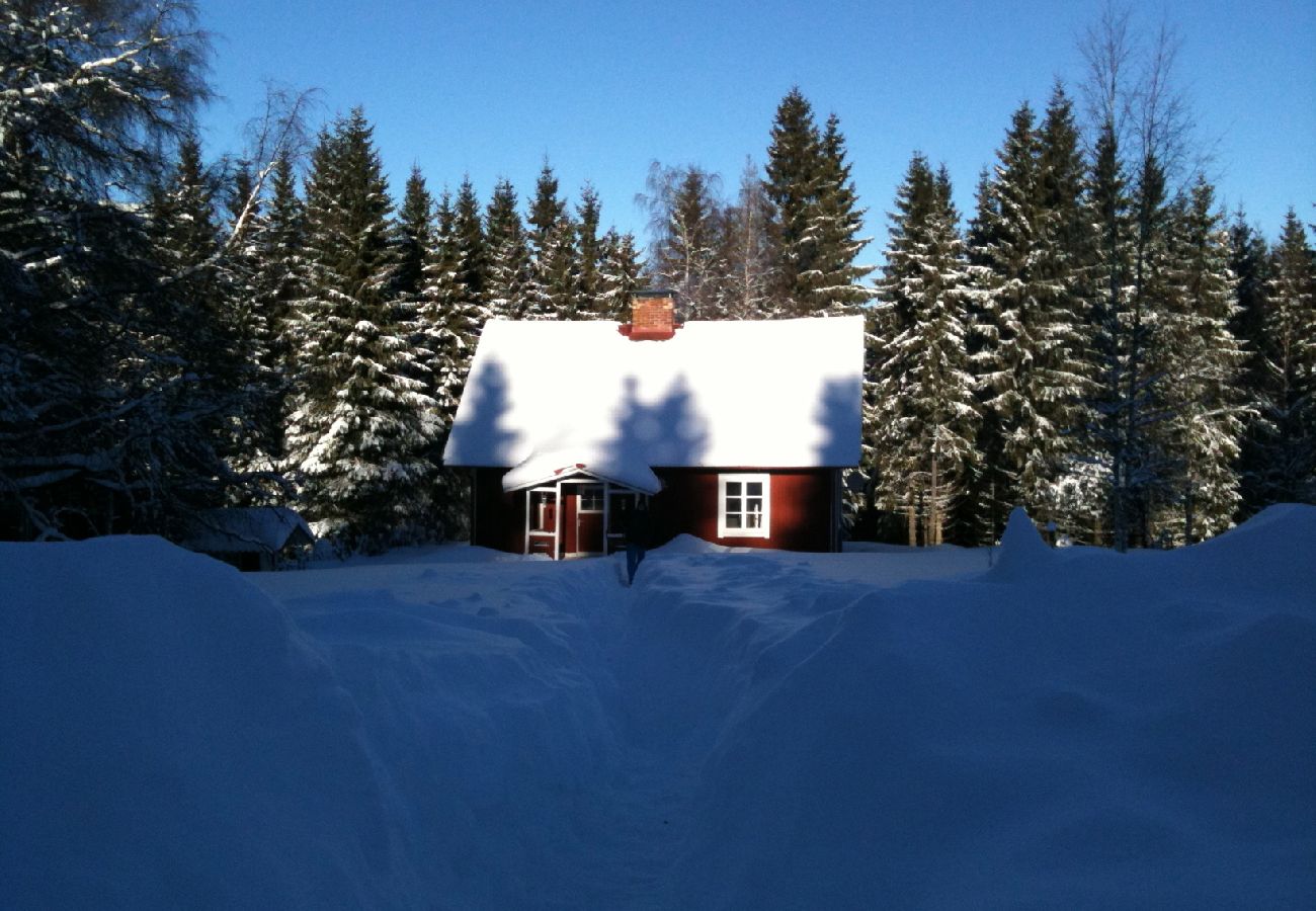 Ferienhaus in Hagfors - Urlaub mitten im Wald in Mittelschweden