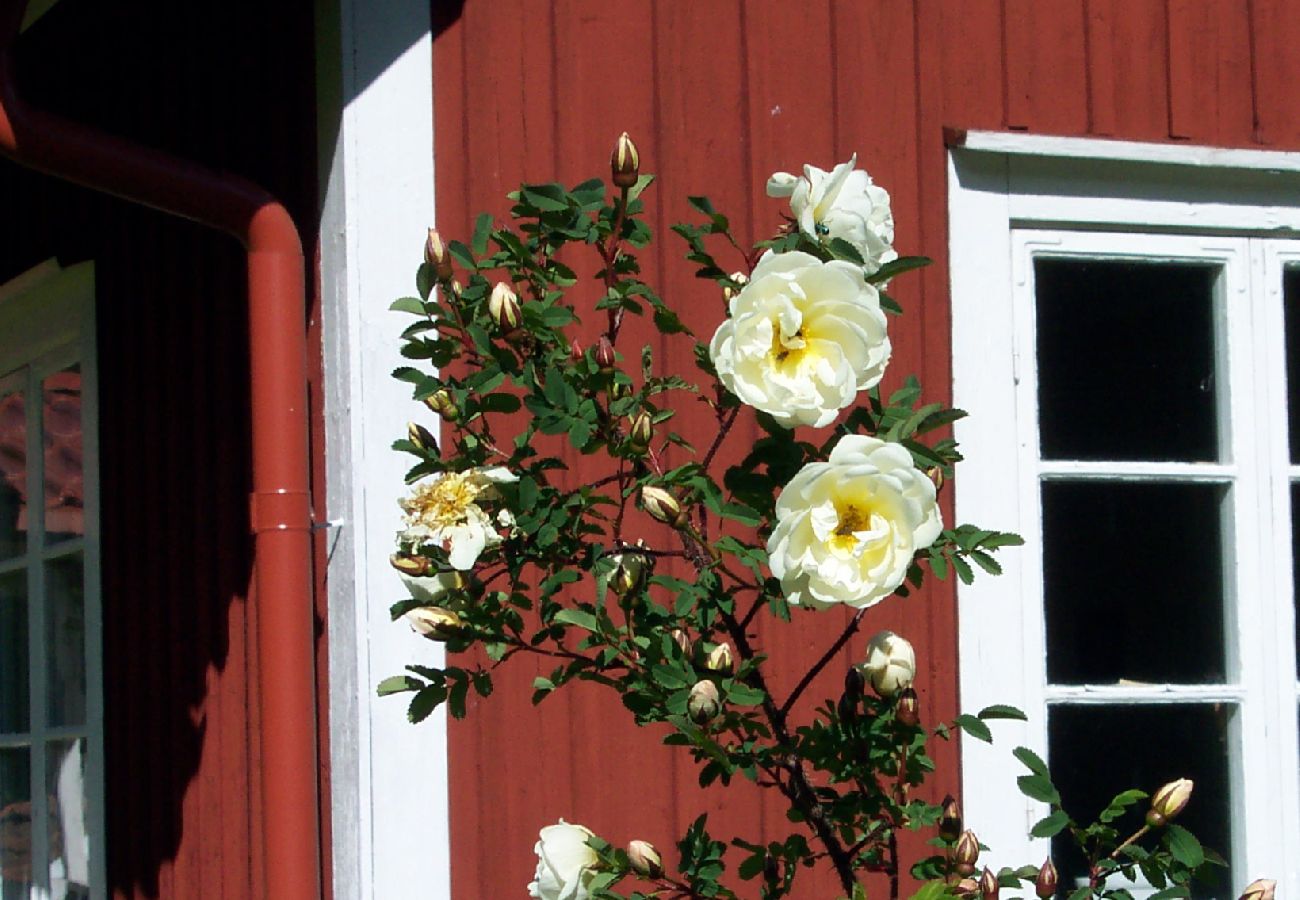 Ferienhaus in Hagfors - Urlaub mitten im Wald in Mittelschweden