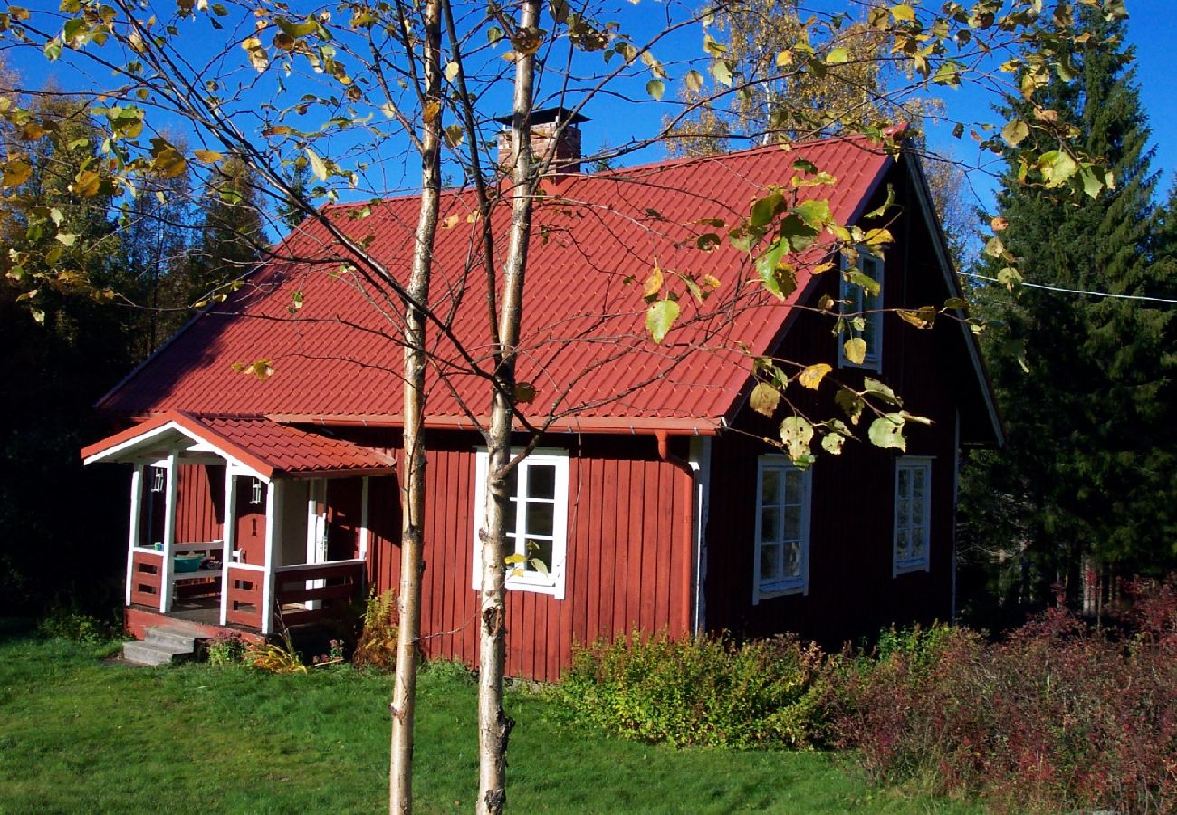 Ferienhaus in Hagfors - Urlaub mitten im Wald in Mittelschweden