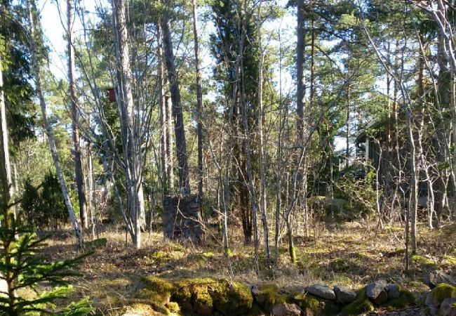 Ferienhaus in Figeholm - Ferienhaus in einer Sommeridylle nur 400 Meter von der Ostsee Ferienhaus in Figeholm - Ferienhaus in einer Sommeridylle nur 400 Meter von der Ostsee