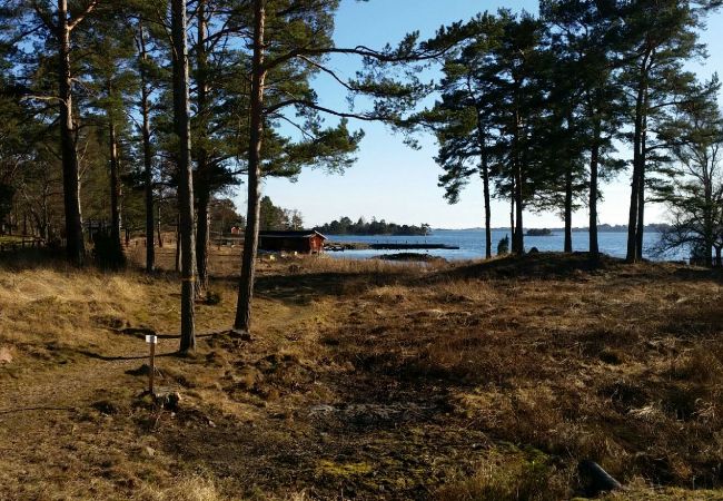 Ferienhaus in Figeholm - Ferienhaus in einer Sommeridylle nur 400 Meter von der Ostsee Ferienhaus in Figeholm - Ferienhaus in einer Sommeridylle nur 400 Meter von der Ostsee