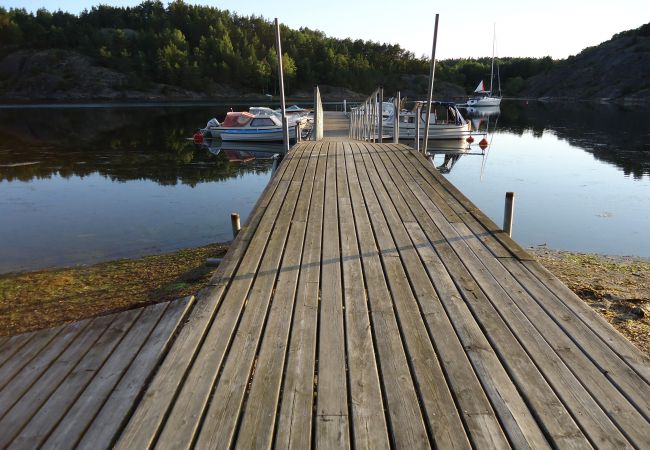 Ferienhaus in Uddevalla - Komfort-Ferienhaus am Meer in Südlage an der Westküste