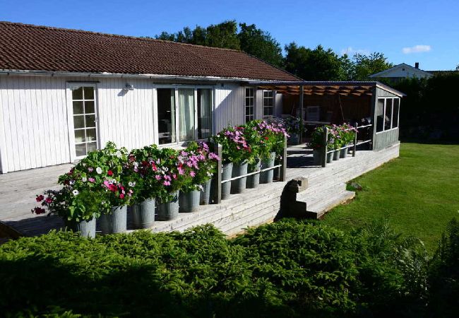 Ferienhaus in Åsa - Großes Ferienhaus 400 Meter vom Meer