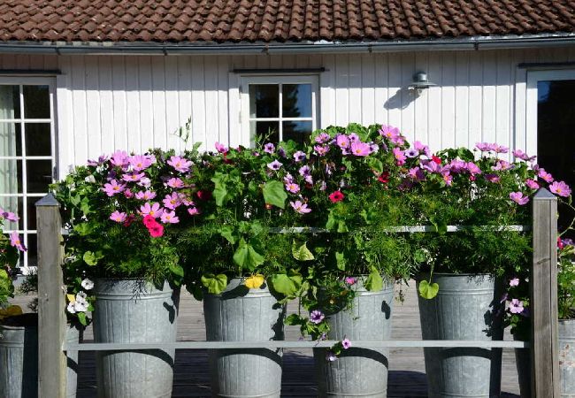 Ferienhaus in Åsa - Großes Ferienhaus 400 Meter vom Meer