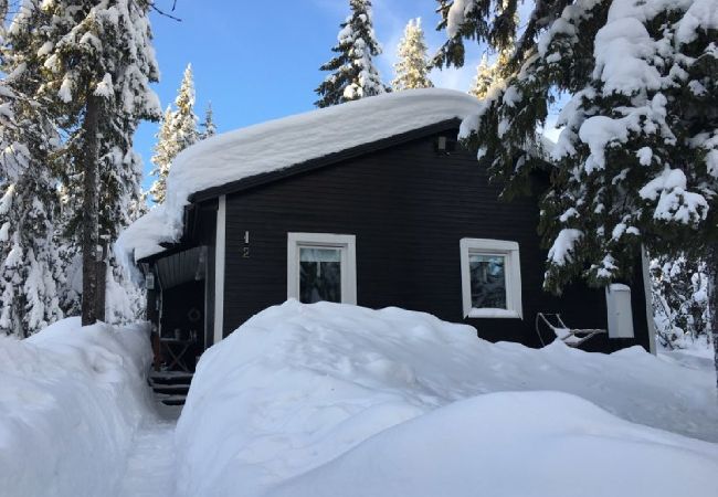 Ferienhaus in Transtrand - Hemfjällstangen