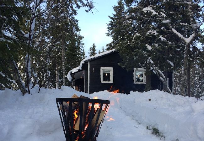 Ferienhaus in Transtrand - Hemfjällstangen