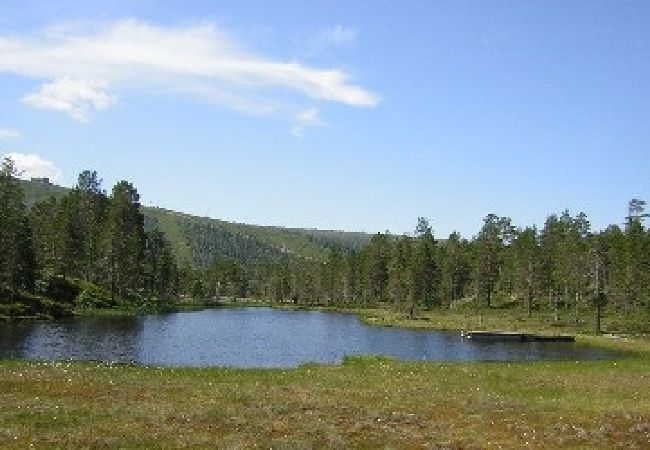Ferienhaus in Sälen - Gemütliche Skihütte mit 3 Schlafzimmern, Sauna, Kamin und Internet Ferienhaus in Sälen - Gemütliche Skihütte mit 3 Schlafzimmern, Sauna, Kamin und Internet