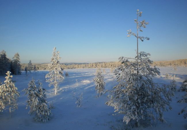 Ferienhaus in Likenäs - Ferienhaus unweit des Klarälven und Branäs Skigebiet