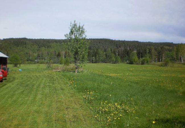 Ferienhaus in Likenäs - Ferienhaus unweit des Klarälven und Branäs Skigebiet