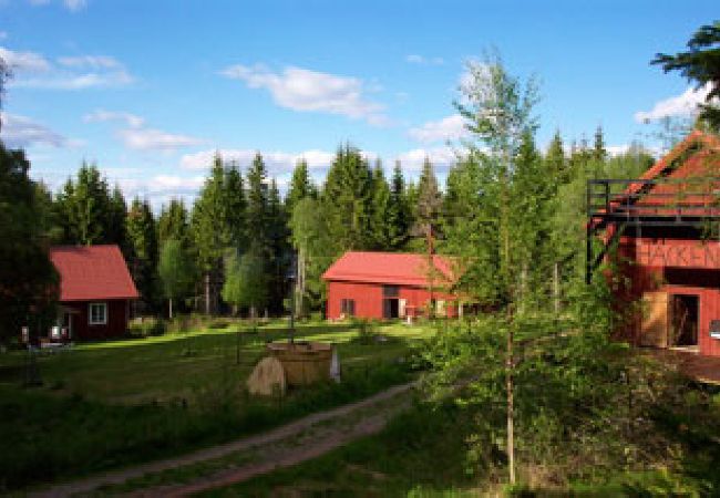 Ferienhaus in Hagfors - Ferien-Hof mit drei Gebäuden für bis zu 14 Personen in absoluter Alleinlage