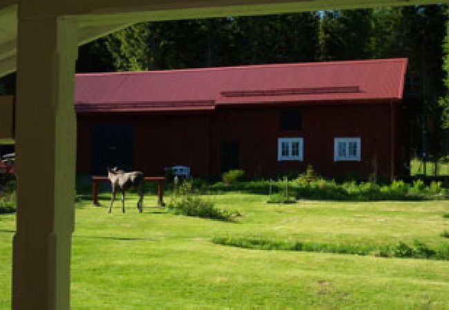 Ferienhaus in Hagfors - Ferien-Hof mit drei Gebäuden für bis zu 14 Personen in absoluter Alleinlage