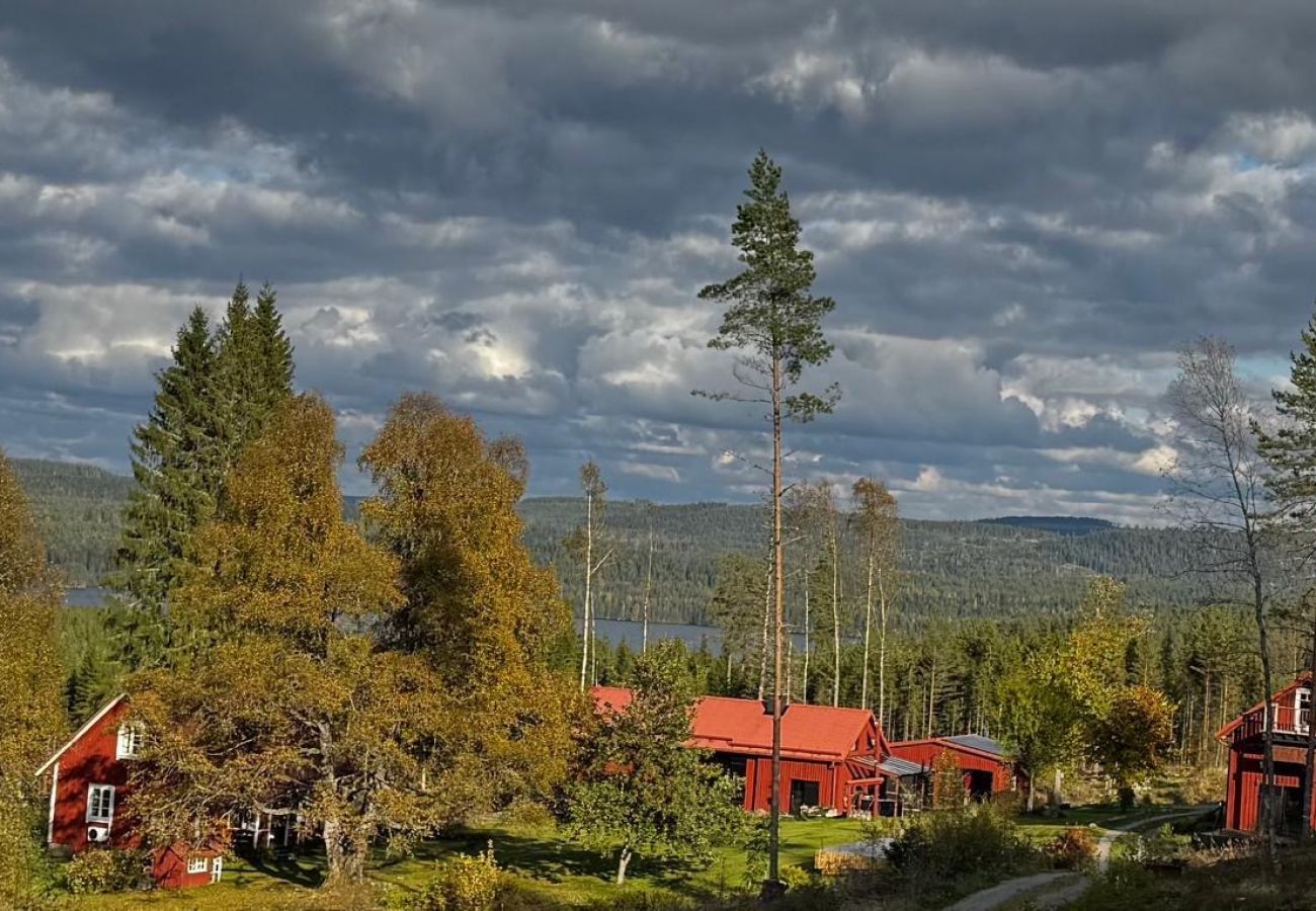Ferienhaus in Hagfors - Waldhof mit drei Gebäuden für bis zu 14 Personen in absoluter Alleinlage