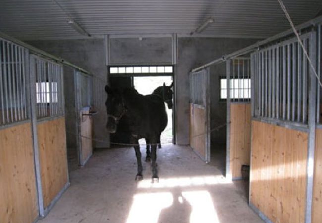 Ferienwohnung in Söderköping - Lantgården Ferienwohnung in Söderköping - Lantgården