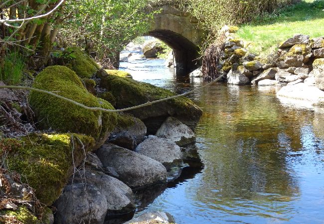 Ferienhaus in Hultsfred - Ein Paradies am See - Ferienhaus Urlaub in Småland Ferienhaus in Hultsfred - Ein Paradies am See - Ferienhaus Urlaub in Småland