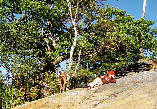 Ferienhaus in Hultsfred - Ein Paradies am See - Ferienhaus Urlaub in Småland Ferienhaus in Hultsfred - Ein Paradies am See - Ferienhaus Urlaub in Småland