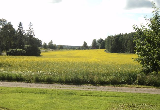 Sköldinge - Ferienwohnung