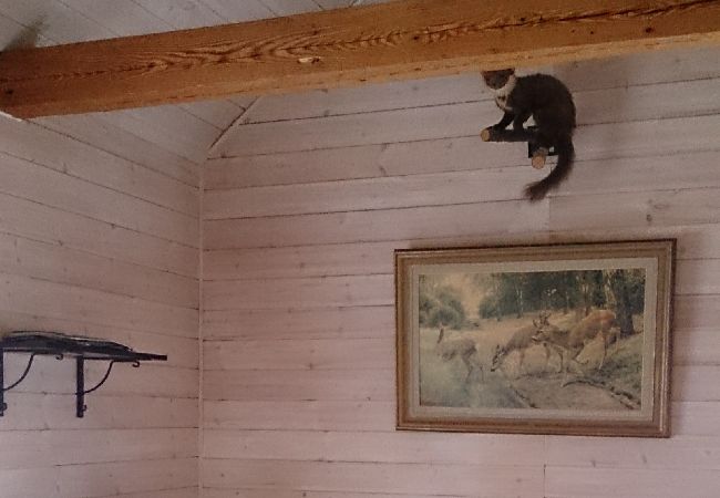 Ferienhaus in Broby - Am Ufer des Flusses Helgeån Ferienhaus in Broby - Am Ufer des Flusses Helgeån