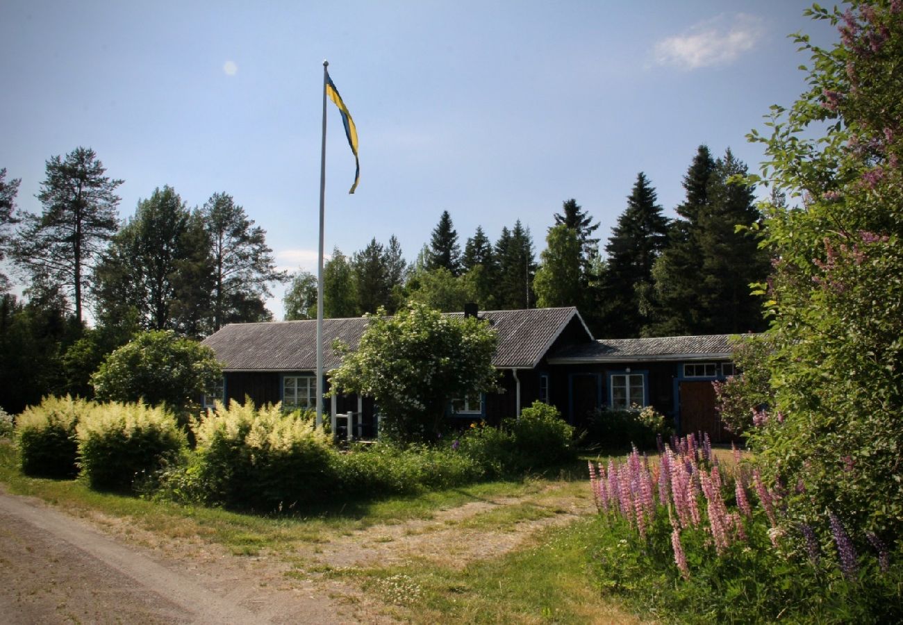 Ferienhaus in Dorotea - Sjöläge Lappland