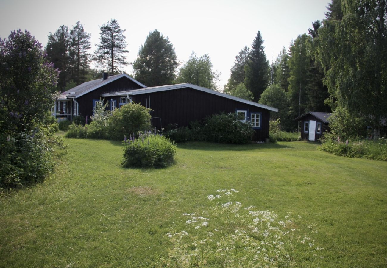 Ferienhaus in Dorotea - Sjöläge Lappland