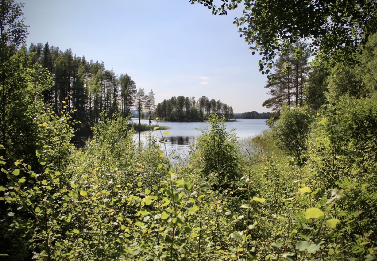 Ferienhaus in Dorotea - Sjöläge Lappland