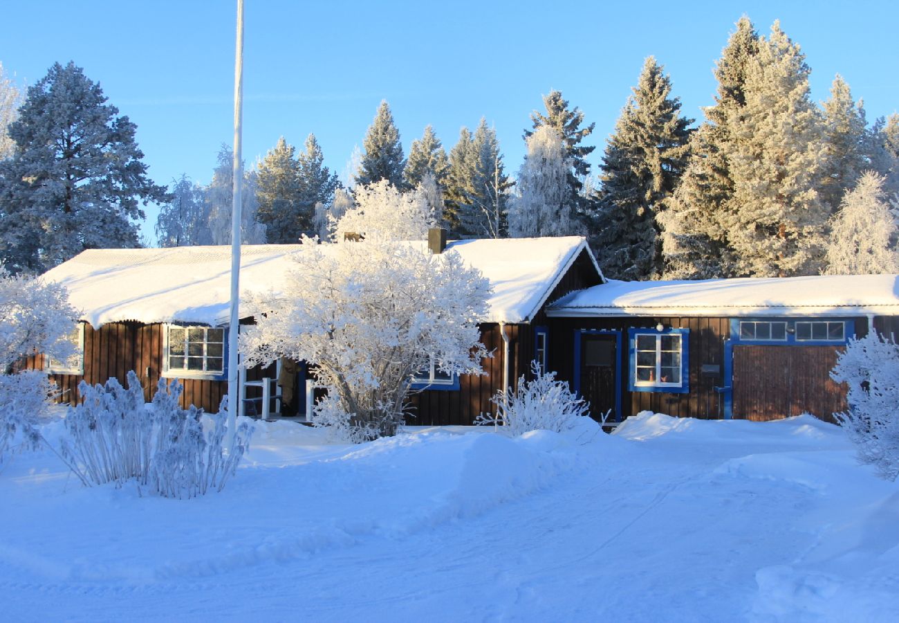 Ferienhaus in Dorotea - Sjöläge Lappland