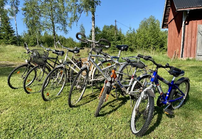 Ferienhaus in Korsberga - Ferienhaus mitten im Märchenwald mit Sauna 