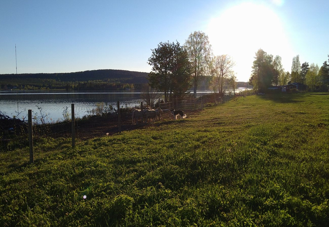 Ferienhaus in Överkalix - gemütliches Ferienhaus am See bei Överkalix