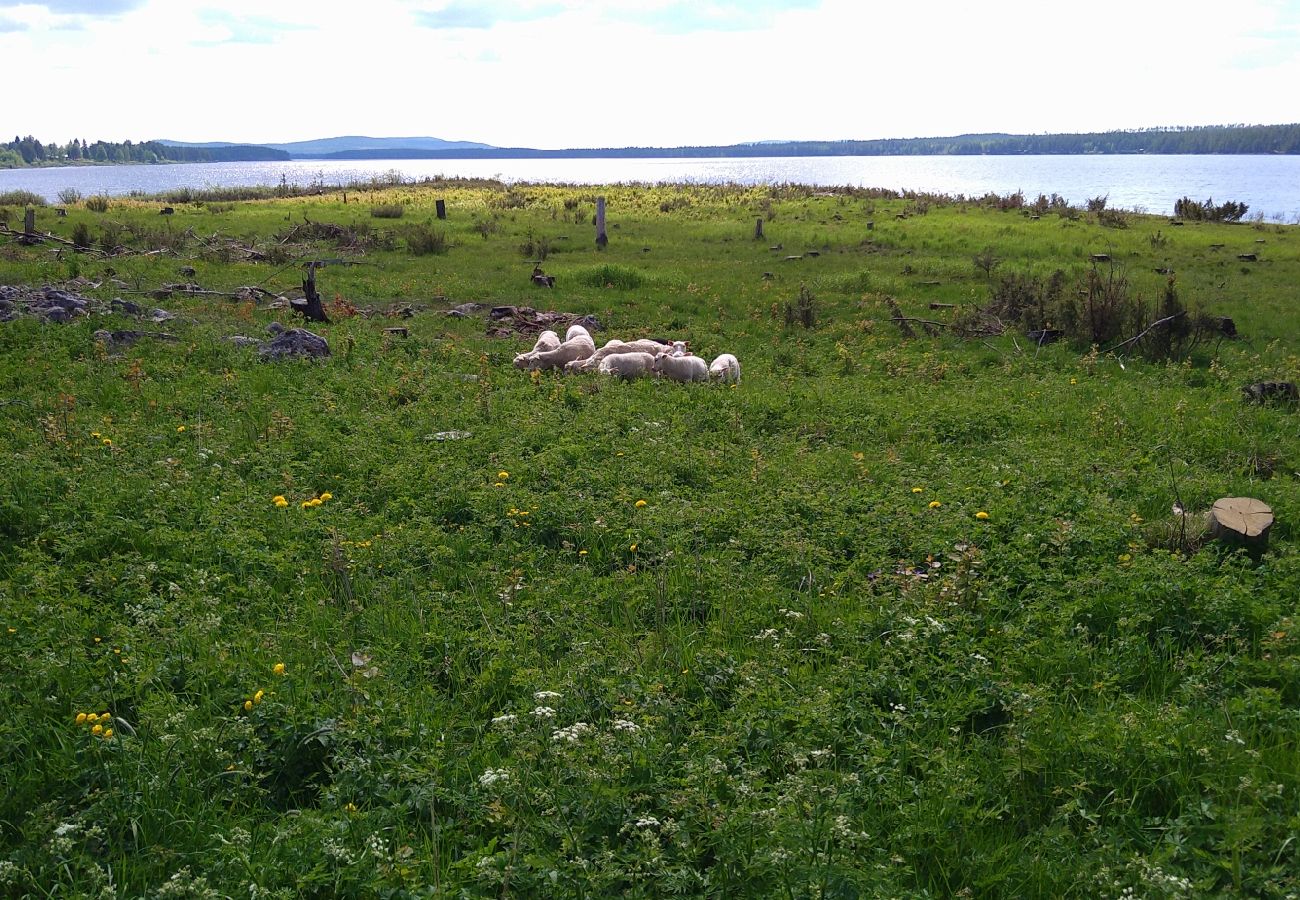 Ferienhaus in Överkalix - gemütliches Ferienhaus am See bei Överkalix