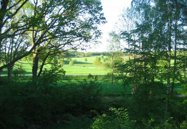 Ferienhaus in Hörby - Gemütliches Ferienhaus unweit vom See Kvesarumssjön Ferienhaus in Hörby - Gemütliches Ferienhaus unweit vom See Kvesarumssjön
